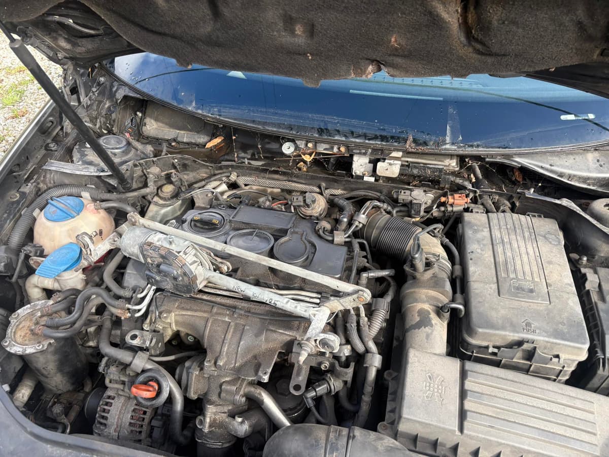 Mechanic working on a car